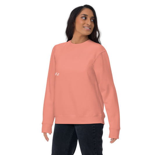 DFZ Basics Plain Sweatshirt